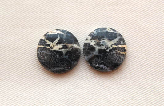 Pair of Petrified Wood round 18MM