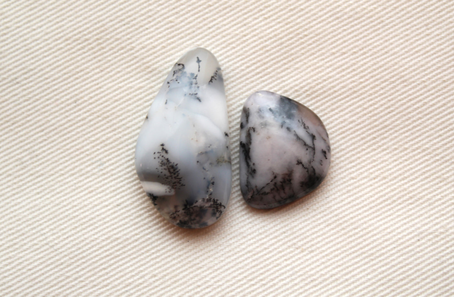 DEUX petites pierres précieuses cabochons d'agate dendritique