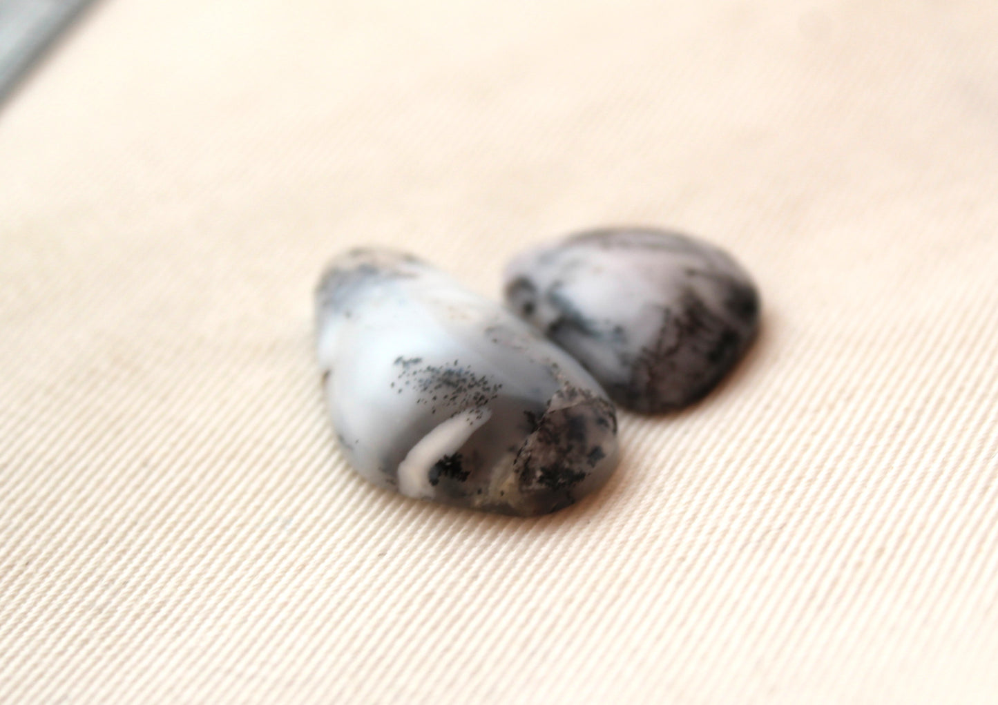 DEUX petites pierres précieuses cabochons d'agate dendritique