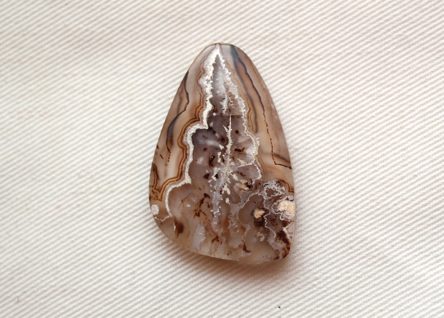 Plume indonésienne Agate Cabochon Gemstone Clear