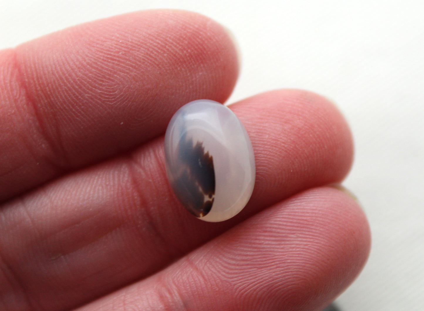 TWO Montana Agate Cabochon Oval gemstone 10x14MM