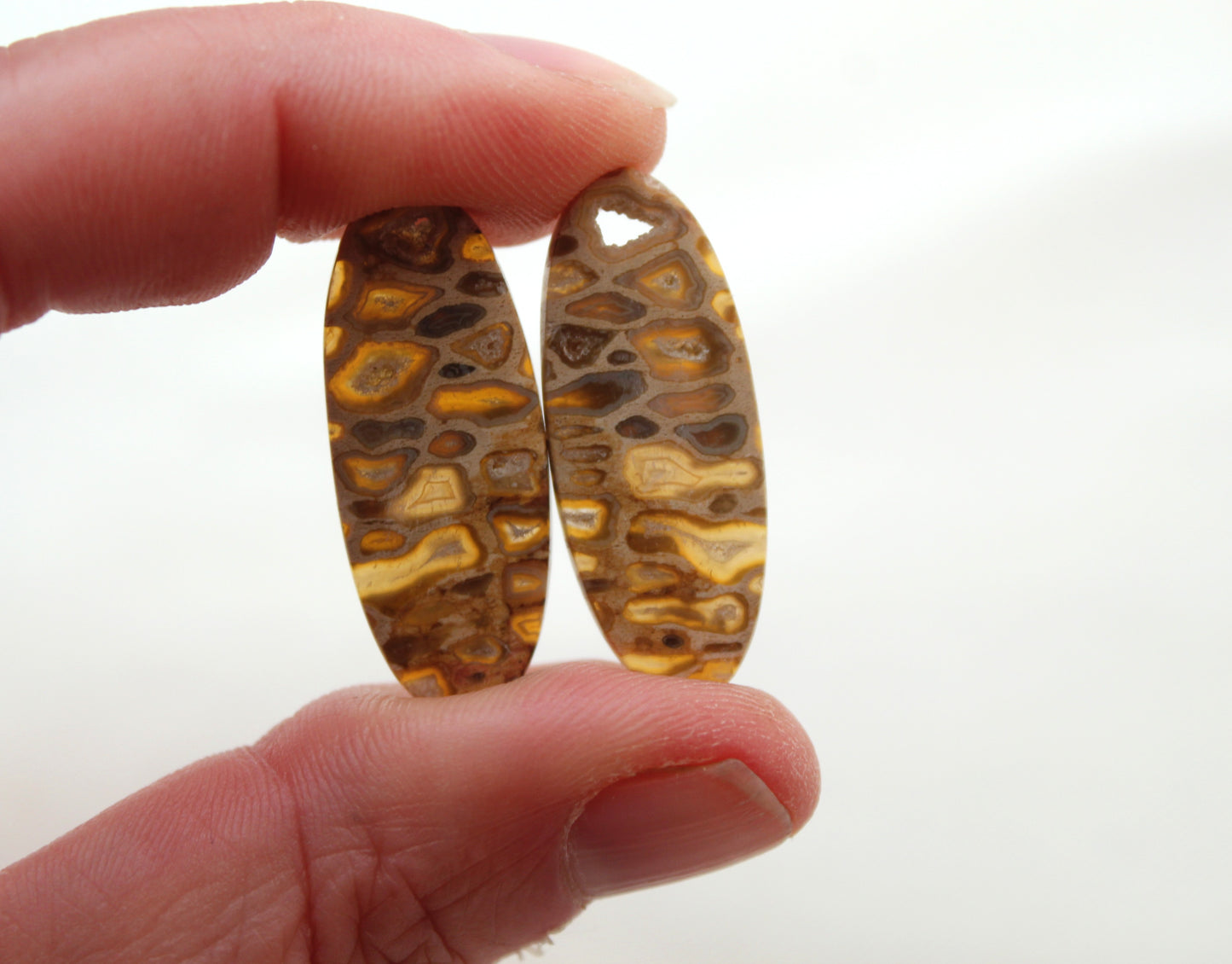 Fossil Palmwood Pair Cabochon Gemstone with druzy pockets