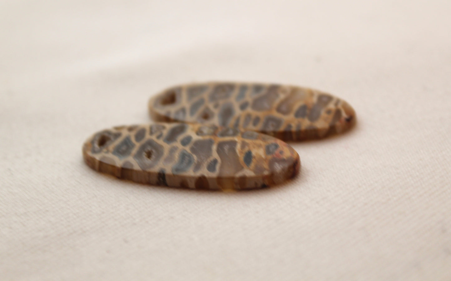 Fossil Palmwood Pair Cabochon Gemstone with druzy pockets