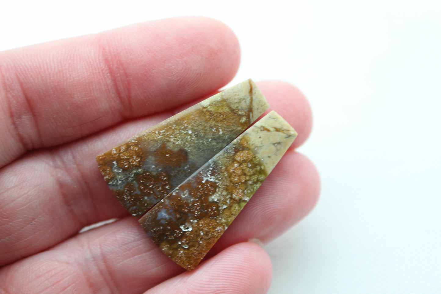 Opalized Petrified Wood Cabochon Pair  green gemstone