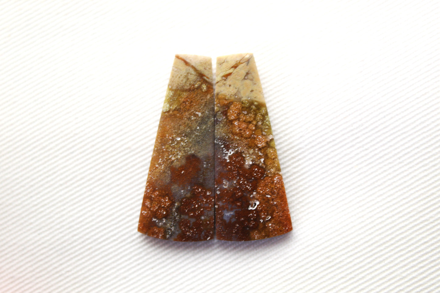 Opalized Petrified Wood Cabochon Pair  green gemstone