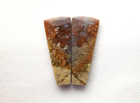 Opalized Petrified Wood Cabochon Pair  green gemstone