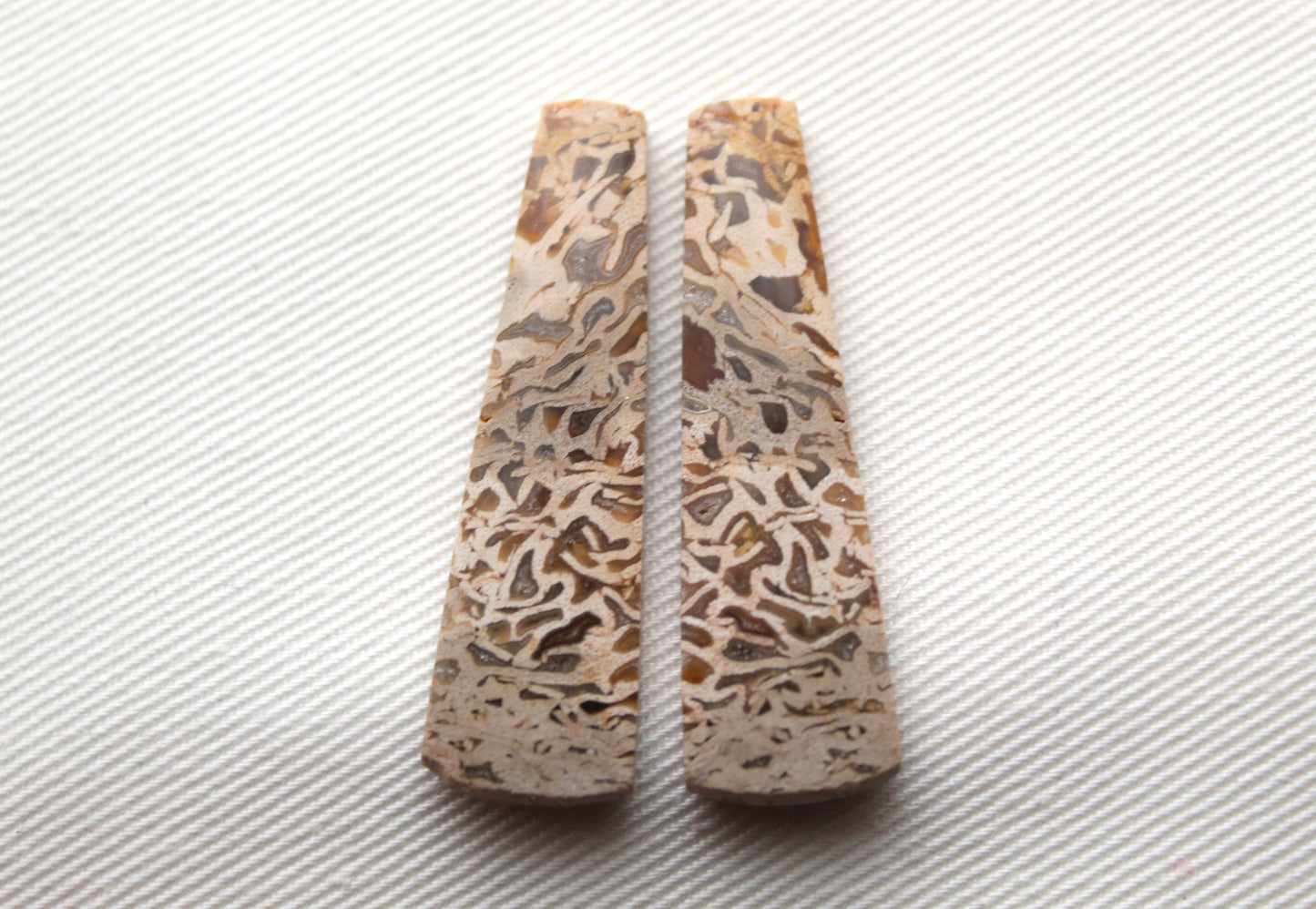 Fossil Palmwood Pair Cabochon Gemstone with druzy pockets