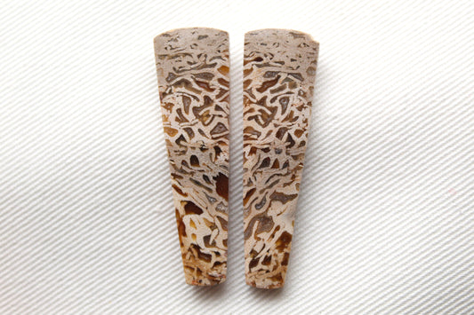 Fossil Palmwood Pair Cabochon Gemstone with druzy pockets