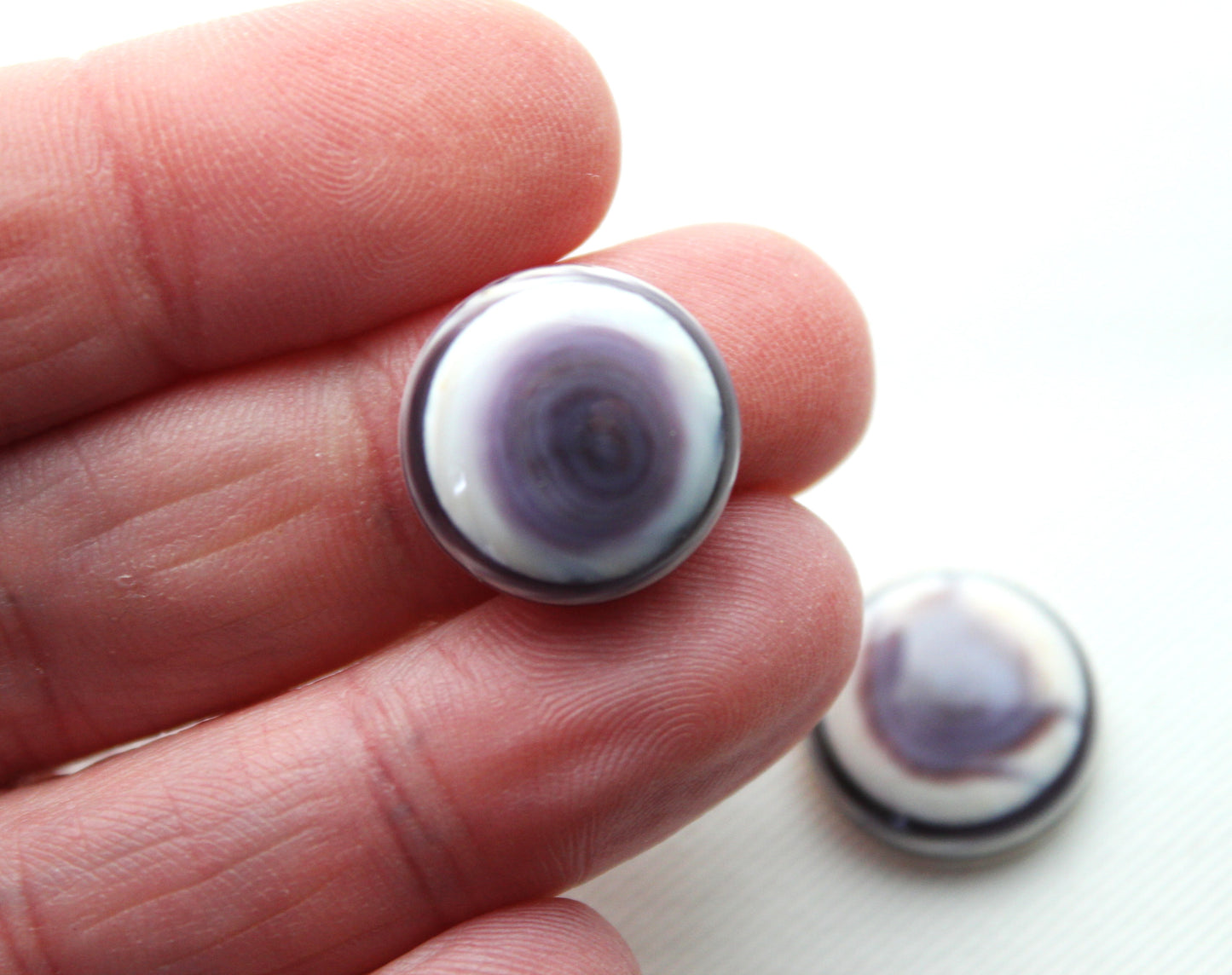 TWO Wampum Quahog Shell round 16MM purple