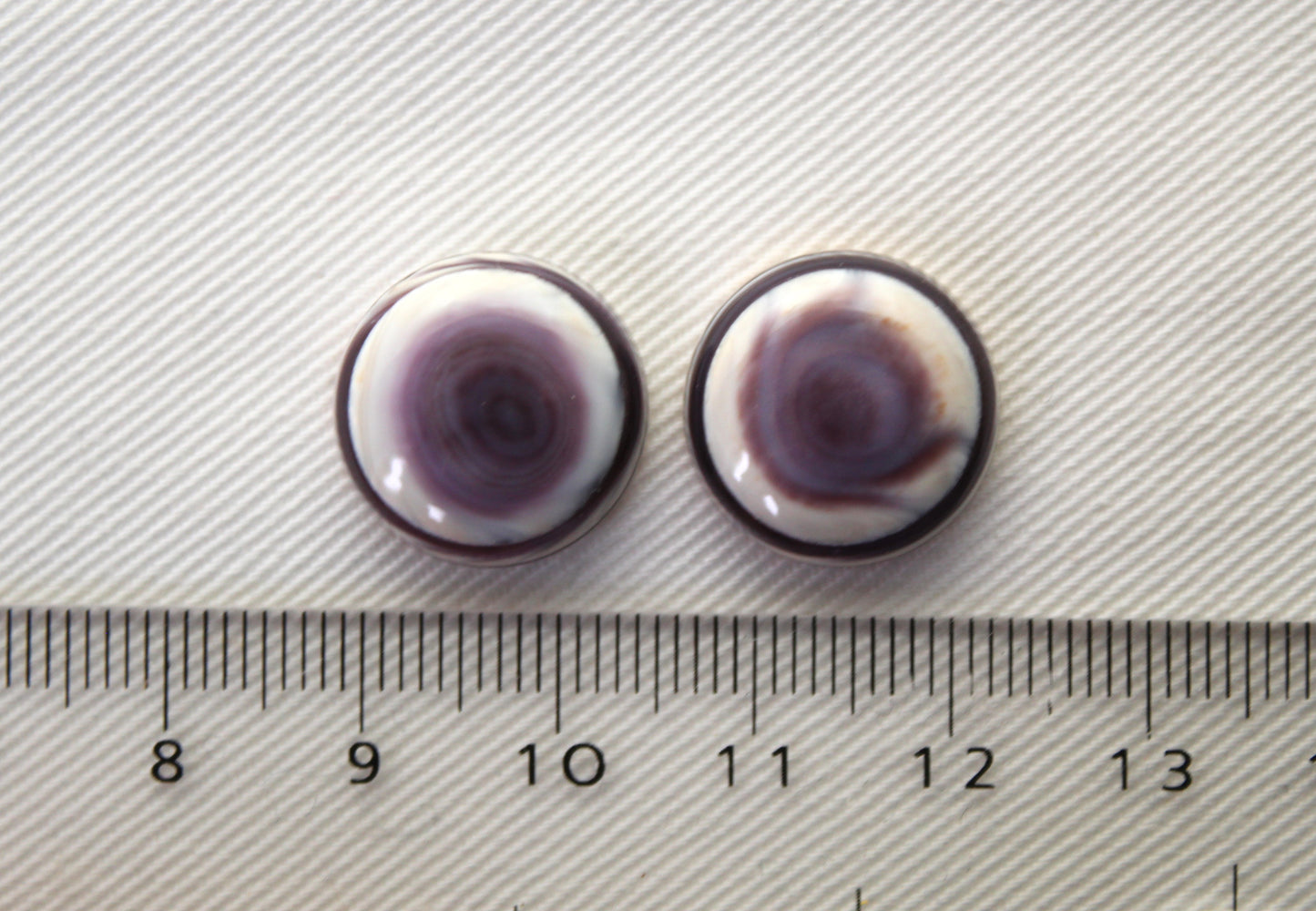 TWO Wampum Quahog Shell round 16MM purple