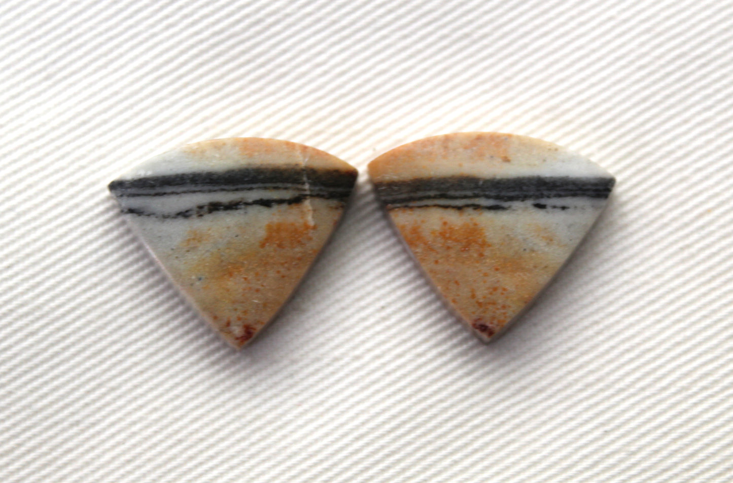 Pair of striped Jasper Cabochons