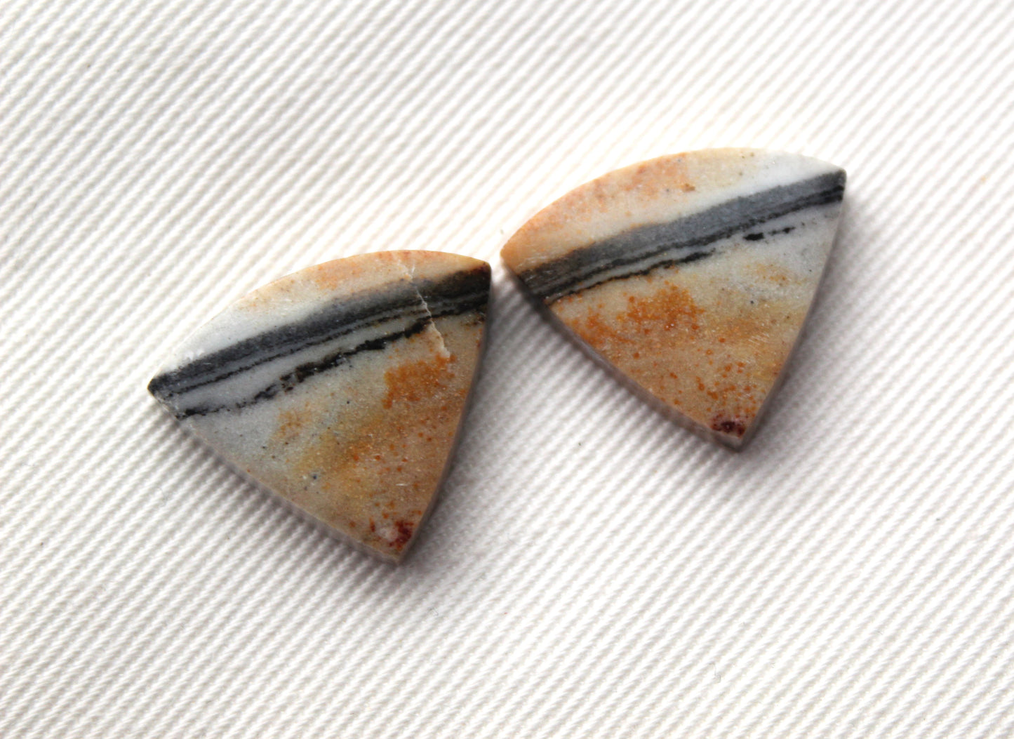 Pair of striped Jasper Cabochons