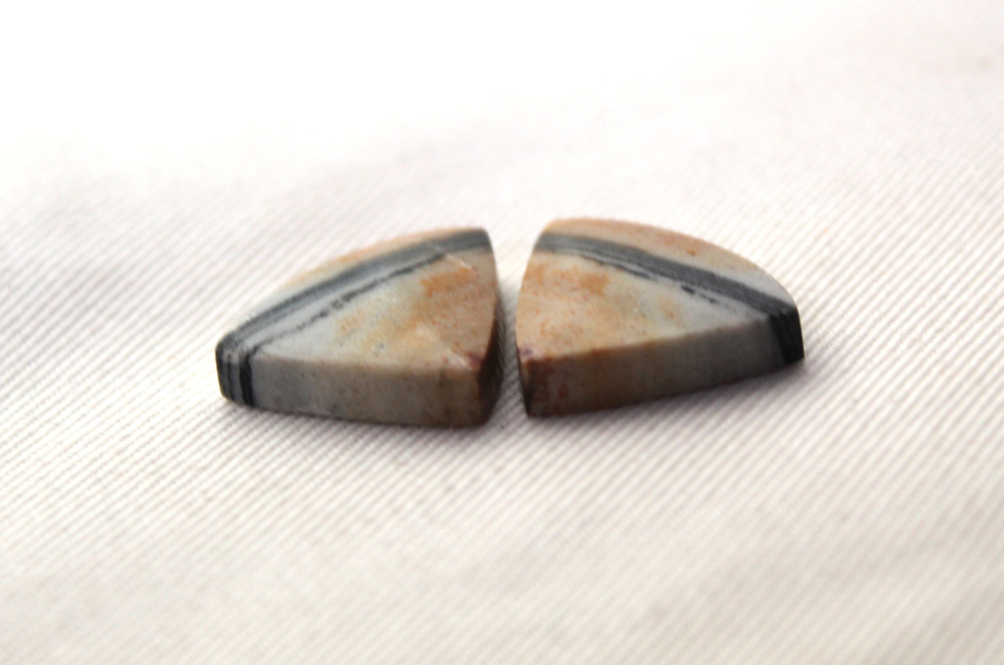 Pair of striped Jasper Cabochons