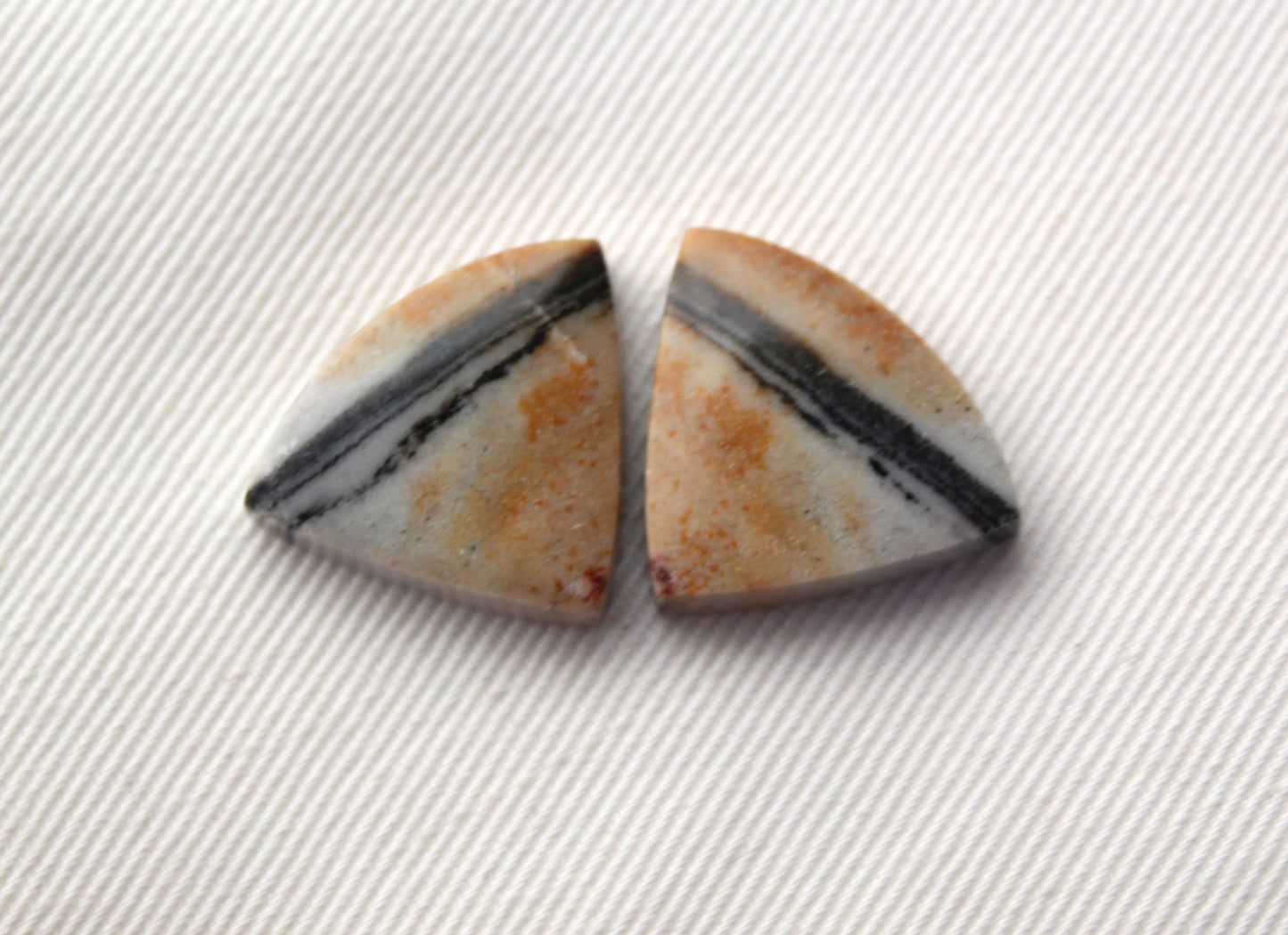 Pair of striped Jasper Cabochons