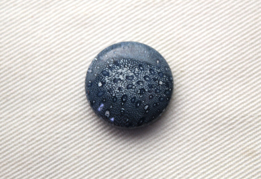 Blue Sponge Coral Gemstone round 18MM