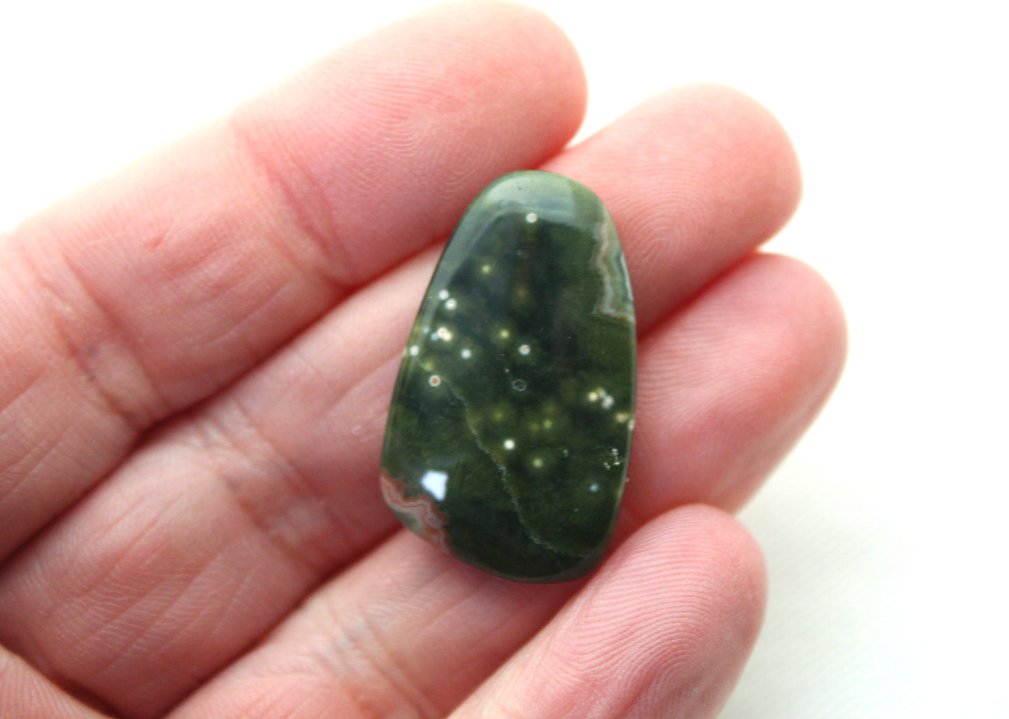 Fossil Palmwood Pair Cabochon Gemstone with druzy pockets Oval