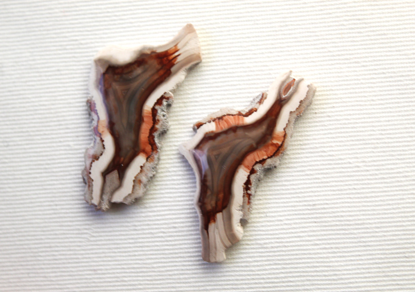 Sliced Agate Pair Gemstones freeform natural