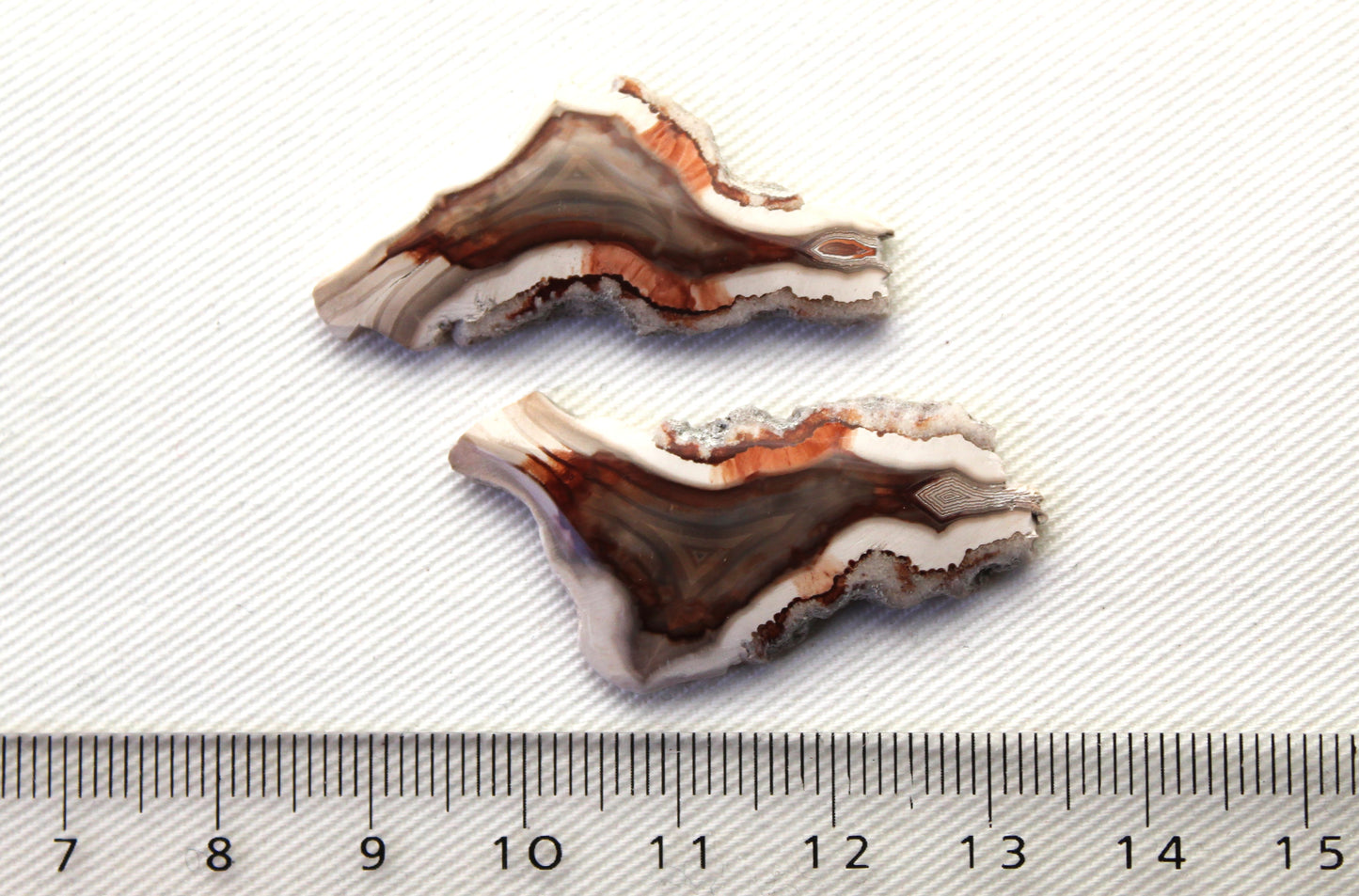 Sliced Agate Pair Gemstones freeform natural