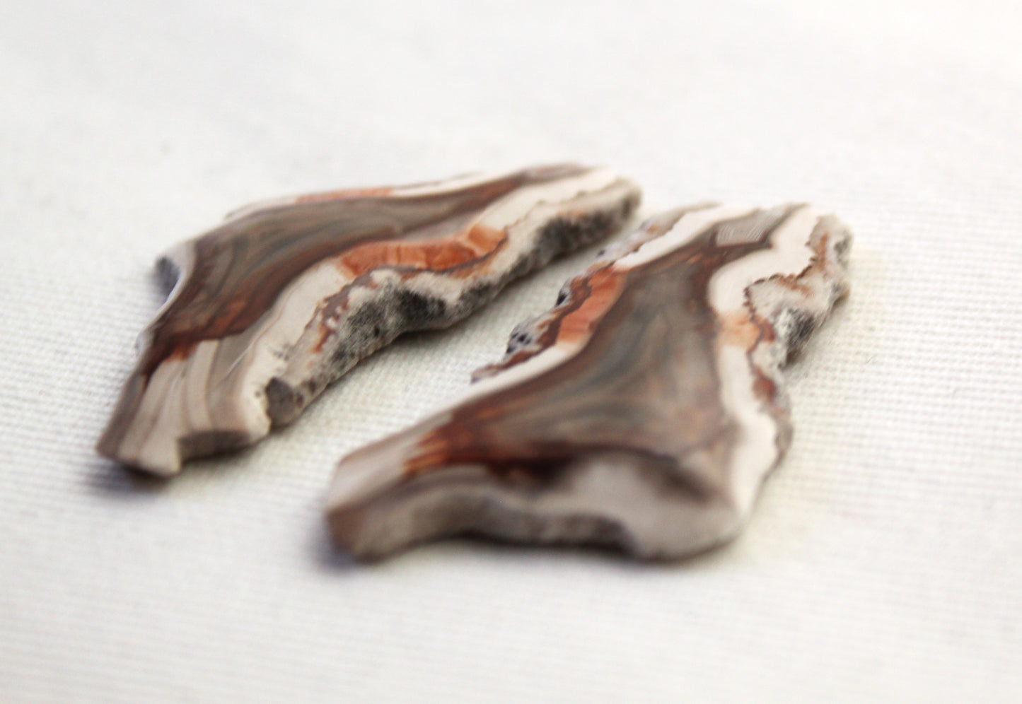 Sliced Agate Pair Gemstones freeform natural