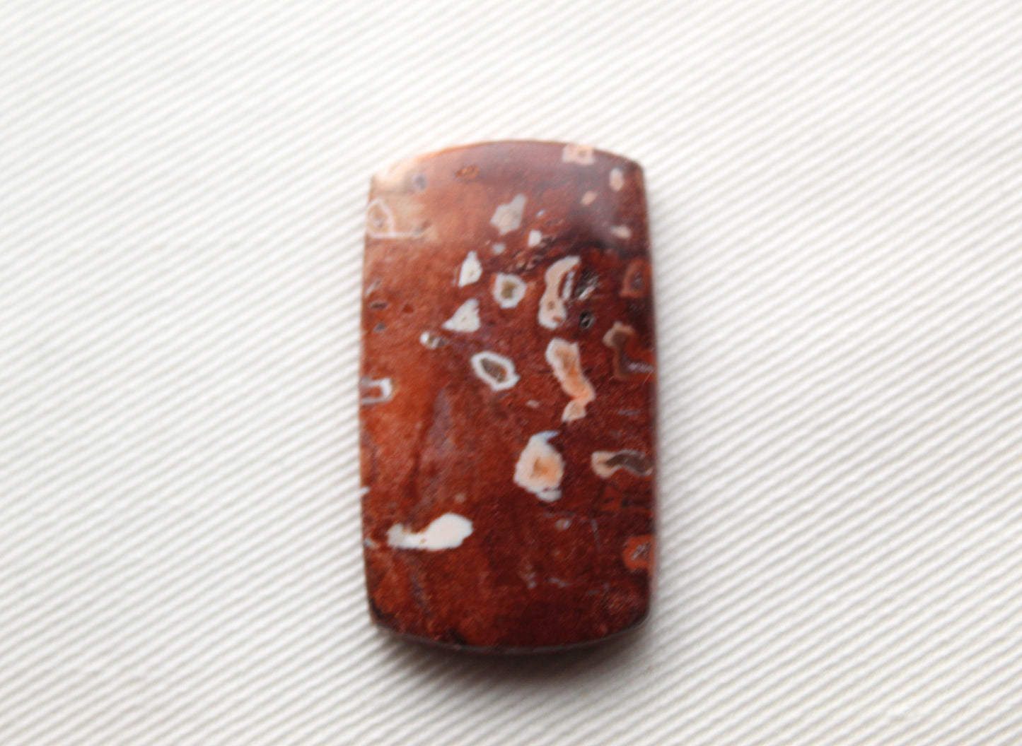 Red Palm Root Cabochon natural gemstone