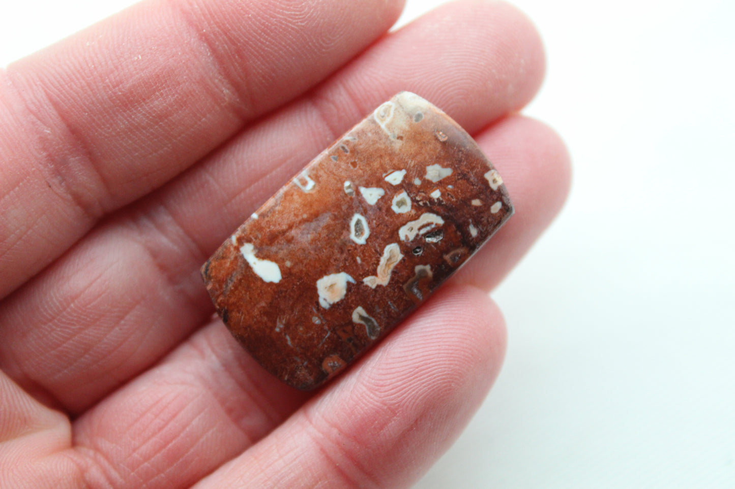 Red Palm Root Cabochon natural gemstone