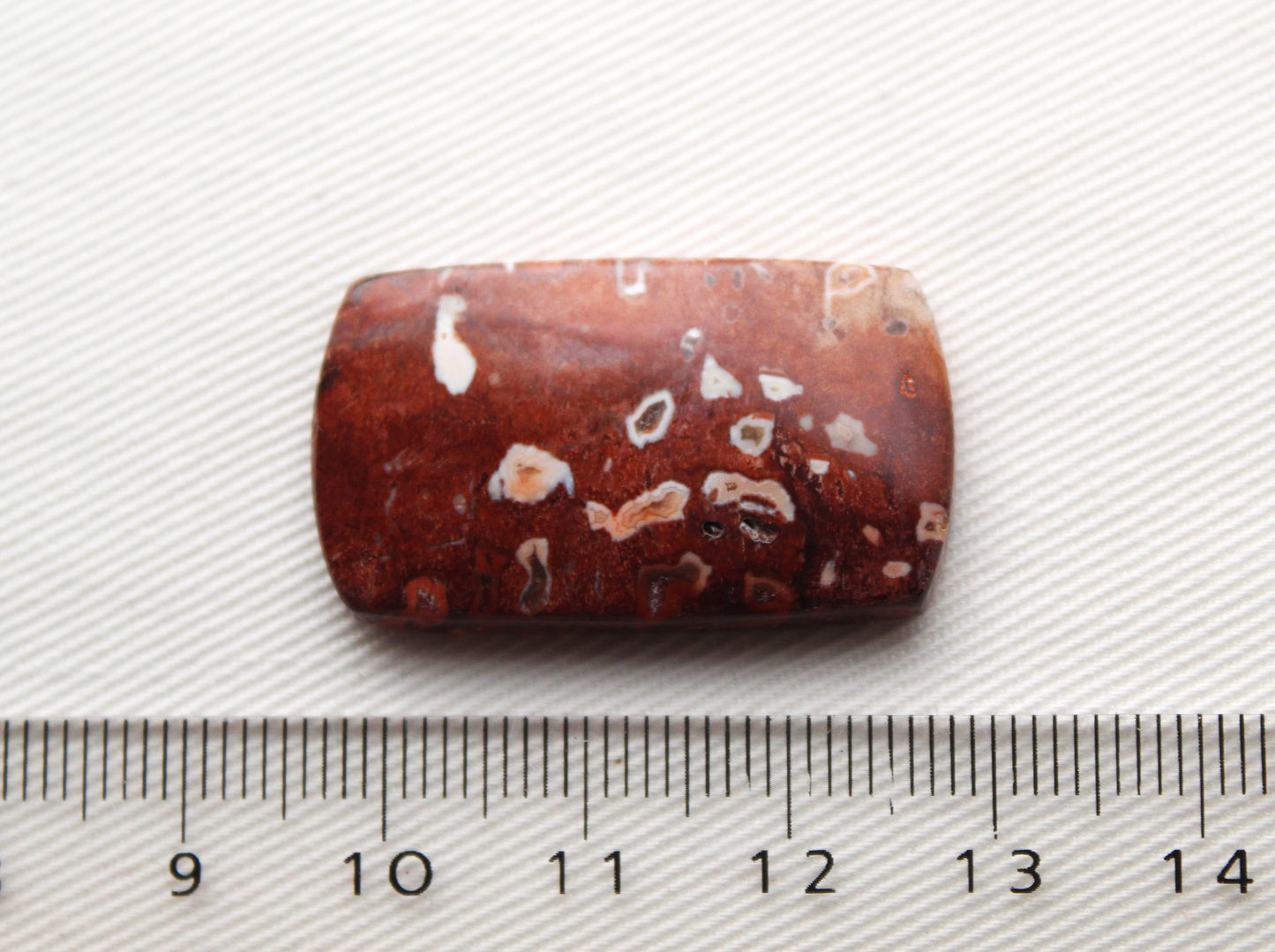 NICE Red Palm Root Cabochon natural gemstones