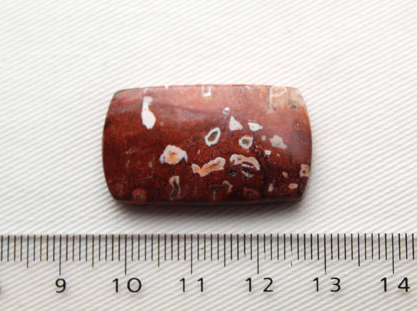 Red Palm Root Cabochon natural gemstone