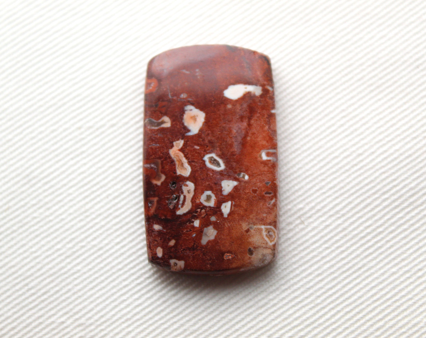 Red Palm Root Cabochon natural gemstone