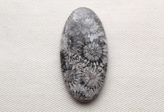 Large Fossilized Coral Gemstone cabochon Oval