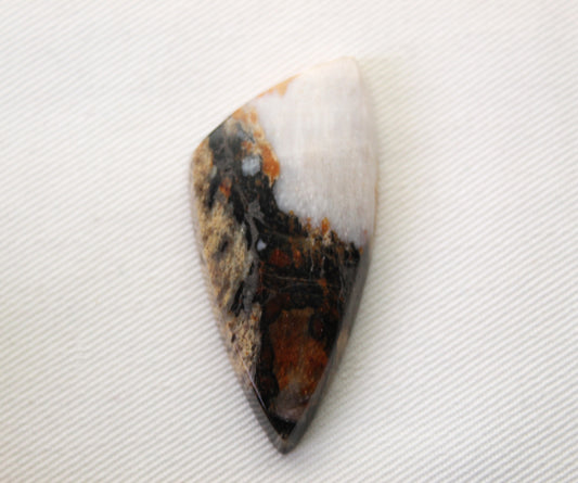 Large Fossil Wood Gemstone freeform