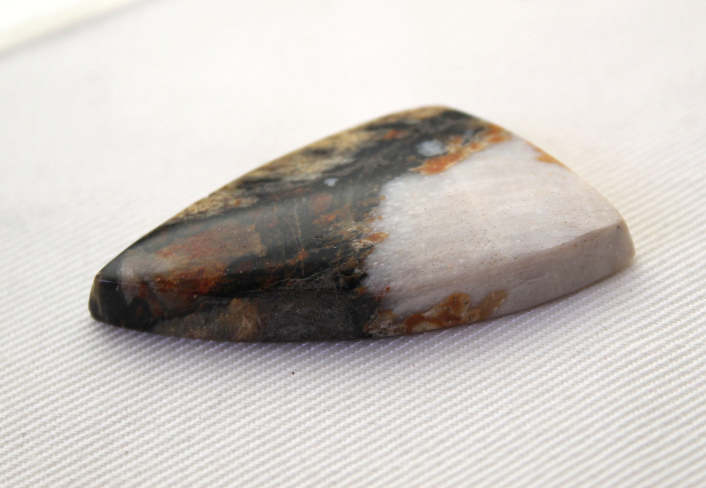 Large Fossil Wood Gemstone freeform