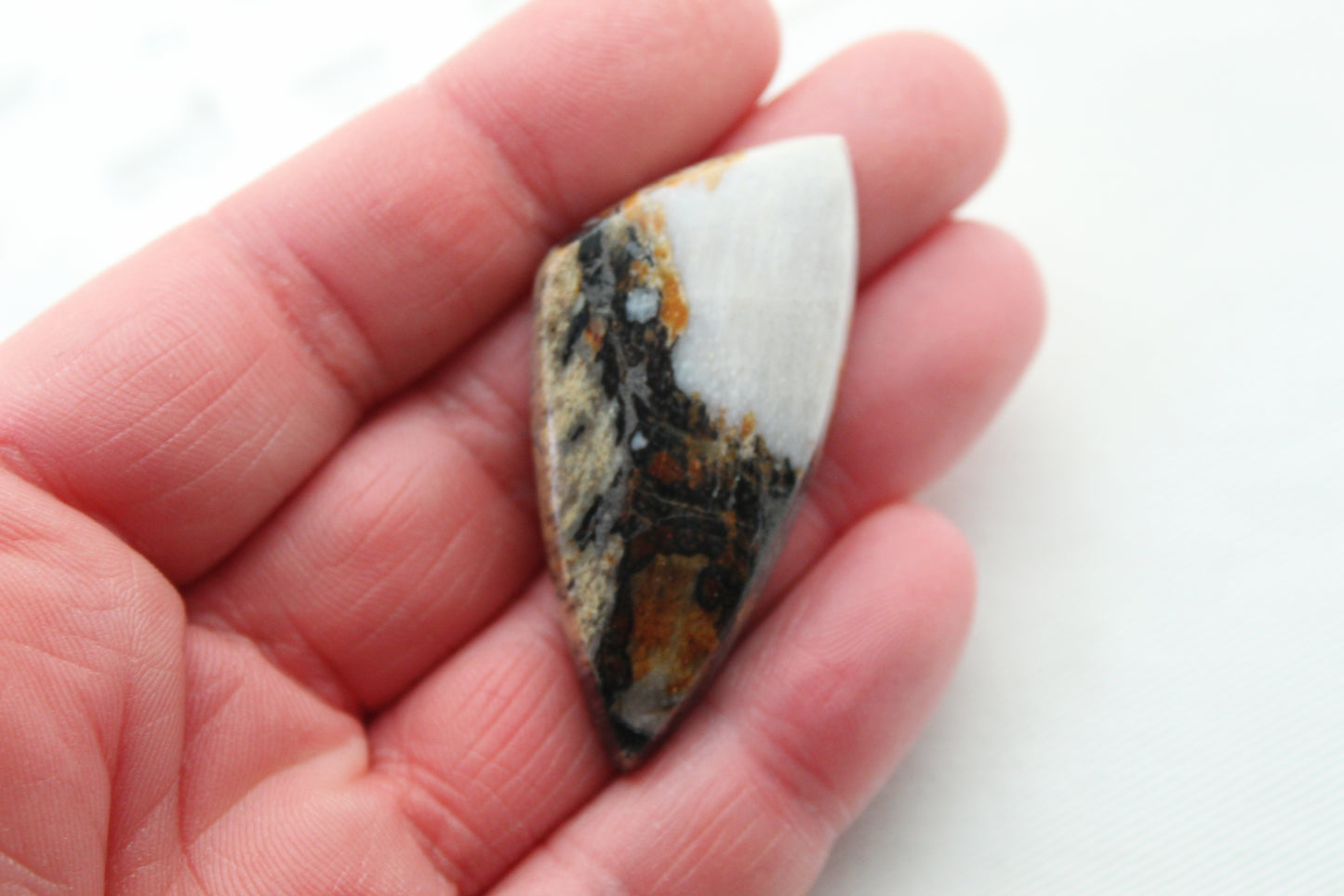 Large Fossil Wood Gemstone freeform