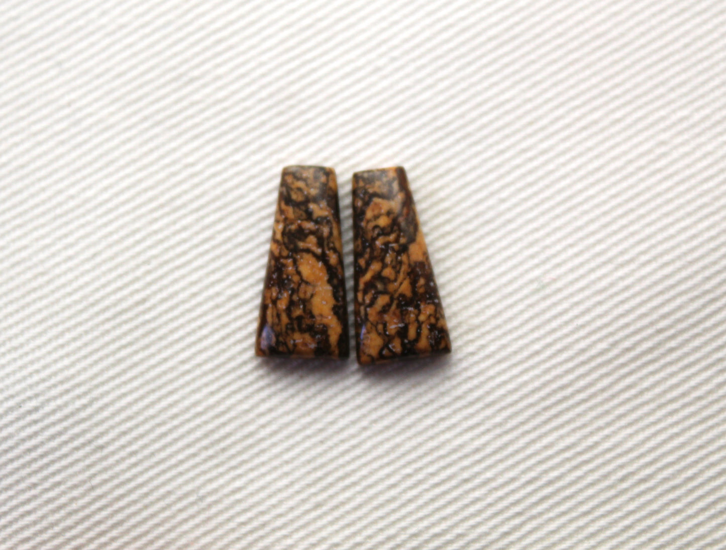 Small pair of Picture Jasper Cabochons beige 7x14MM