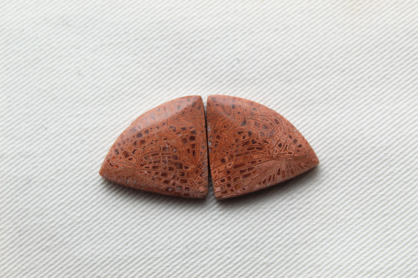 Pink Fossil Coral Pair of Gemstones cabochon triangle