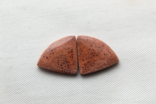 Pink Fossil Coral Pair of Gemstones cabochon triangle