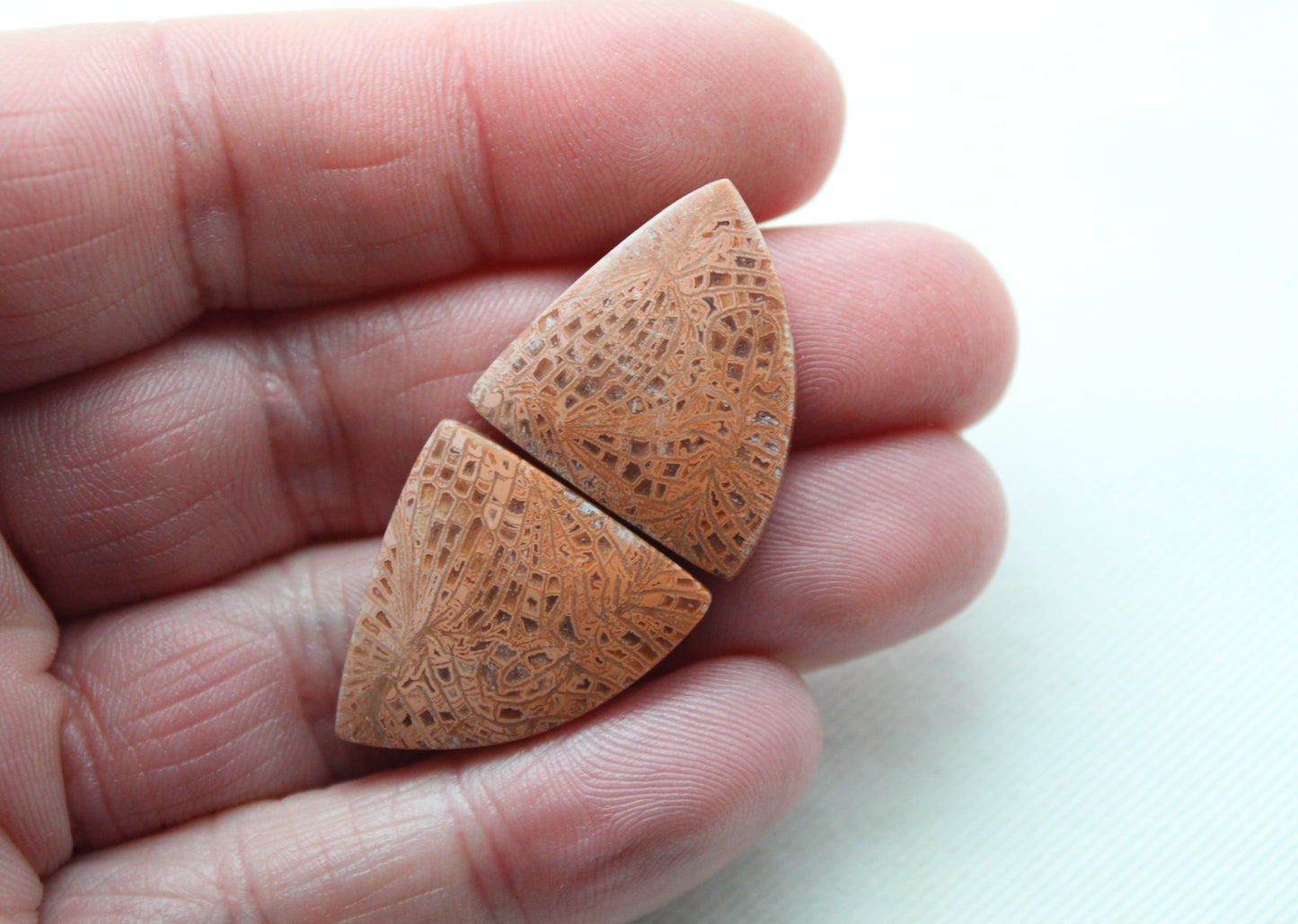 Pink Fossil Coral Pair of Gemstones cabochon triangle