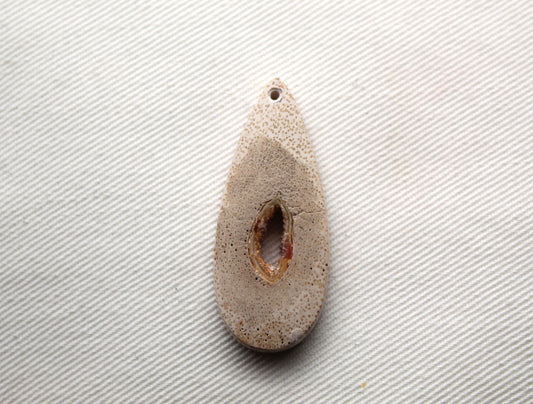 Worm Hole Petrified Wood Cabochon gemstone natural DRILLED
