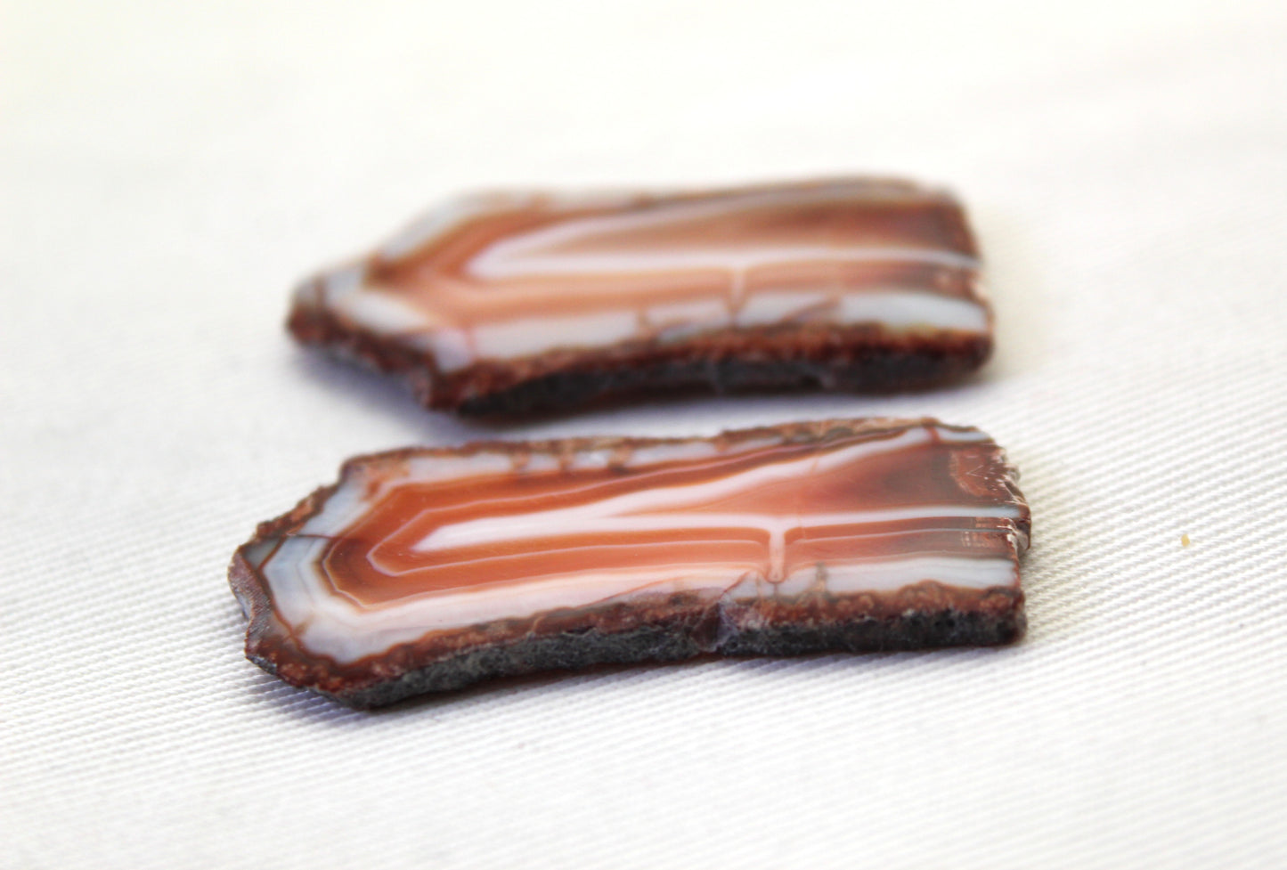 Sliced Agate Pair Gemstones freeform natural