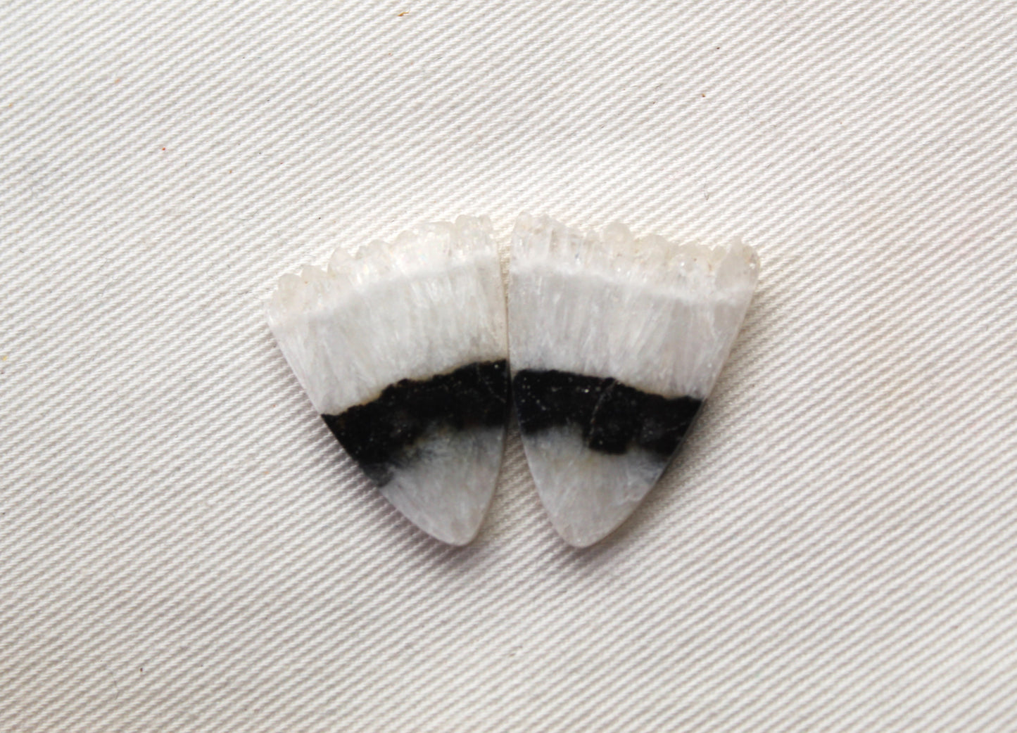 Crystal Zebra Cabochons Pair with Druzy Edges