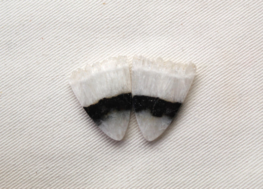 Crystal Zebra Cabochons Pair with Druzy Edges