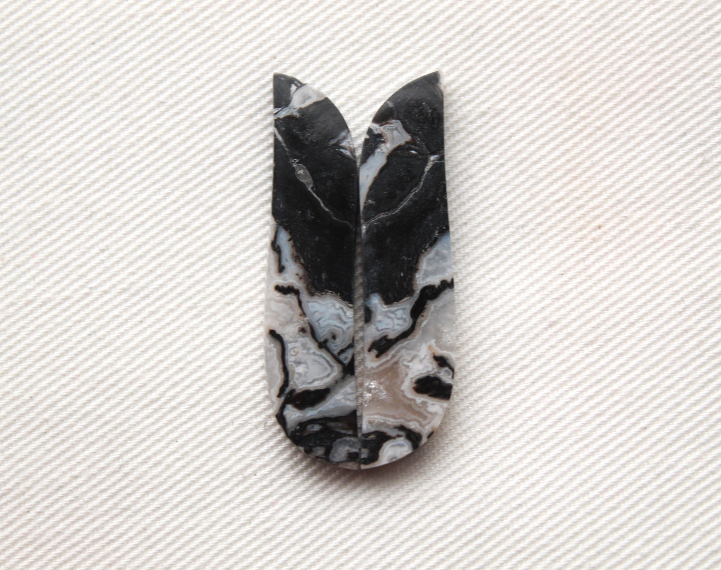 Fossilized Wood Pair of Gemstones cabochon white natural