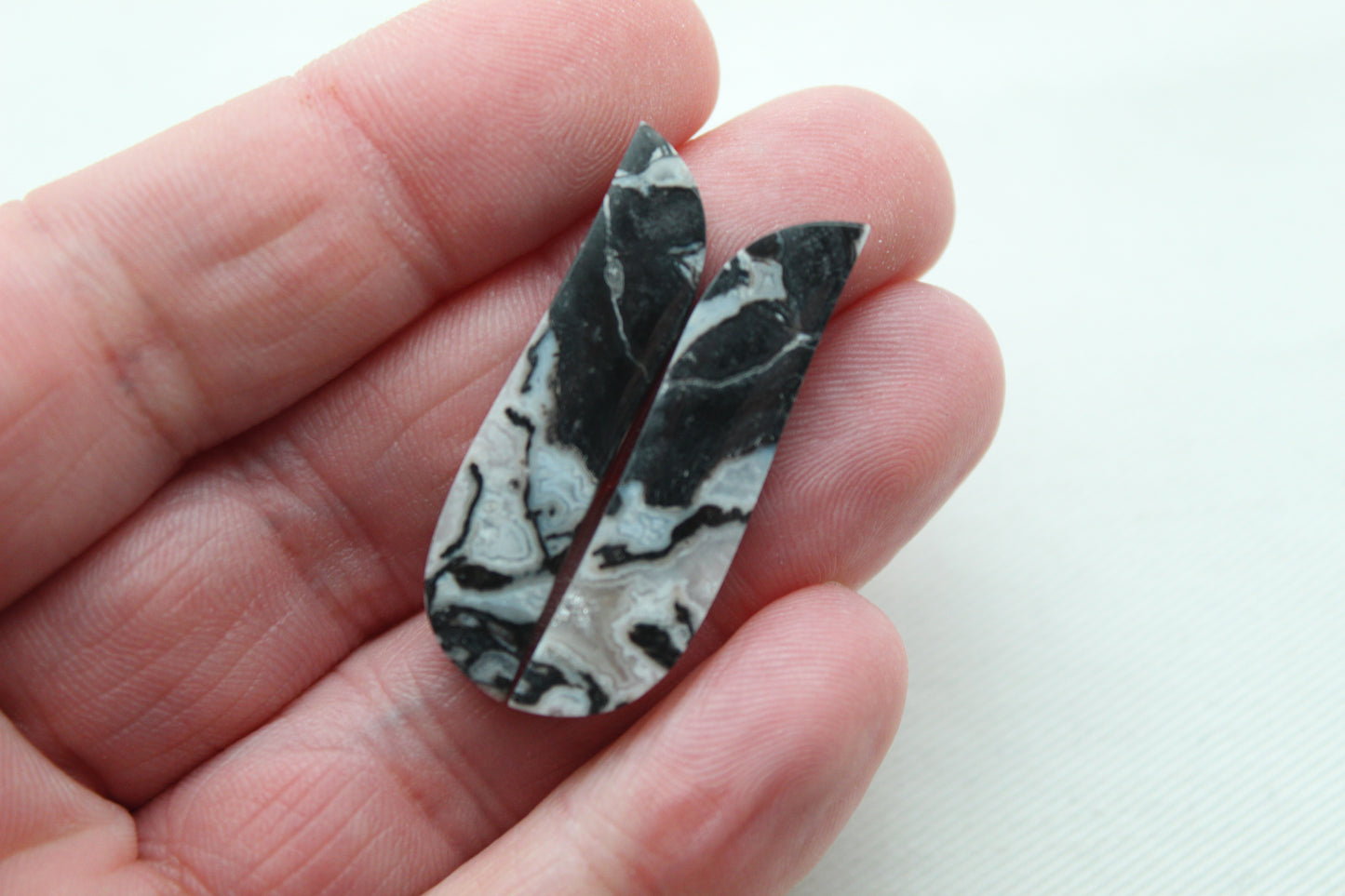 Fossilized Wood Pair of Gemstones cabochon white natural