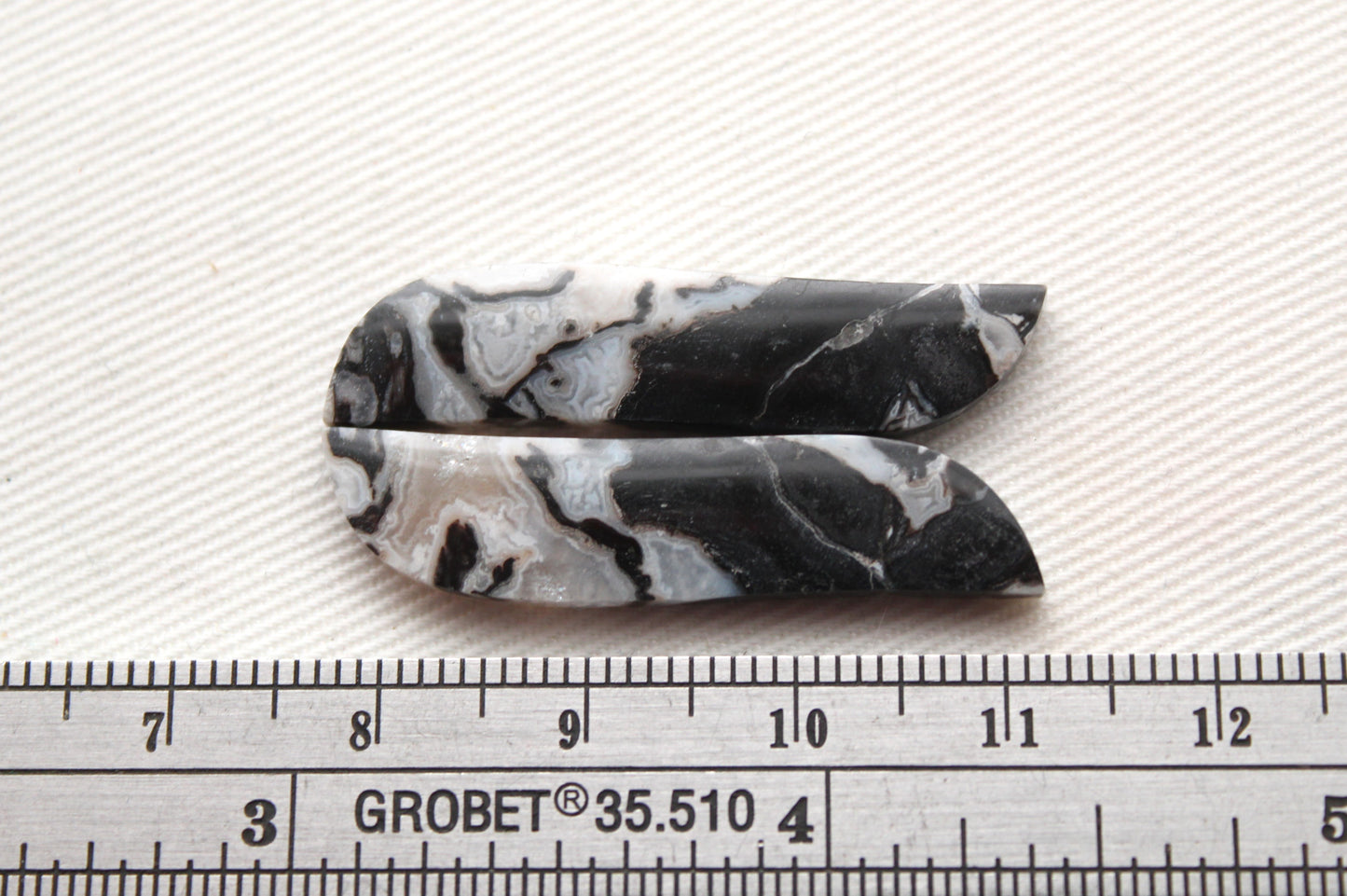 Fossilized Wood Pair of Gemstones cabochon white natural