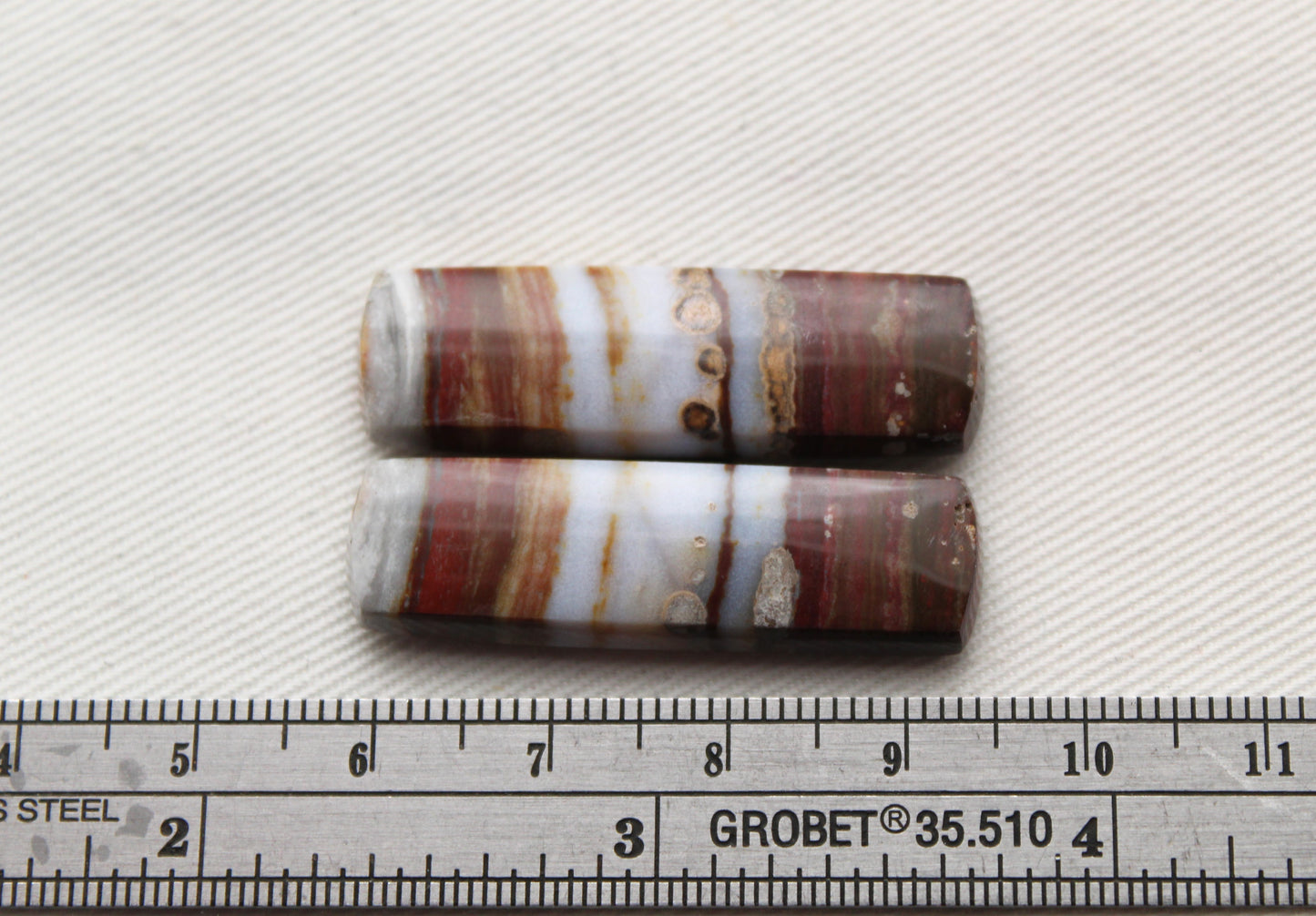 Rectangle pair of Petrified Wood Cabochons