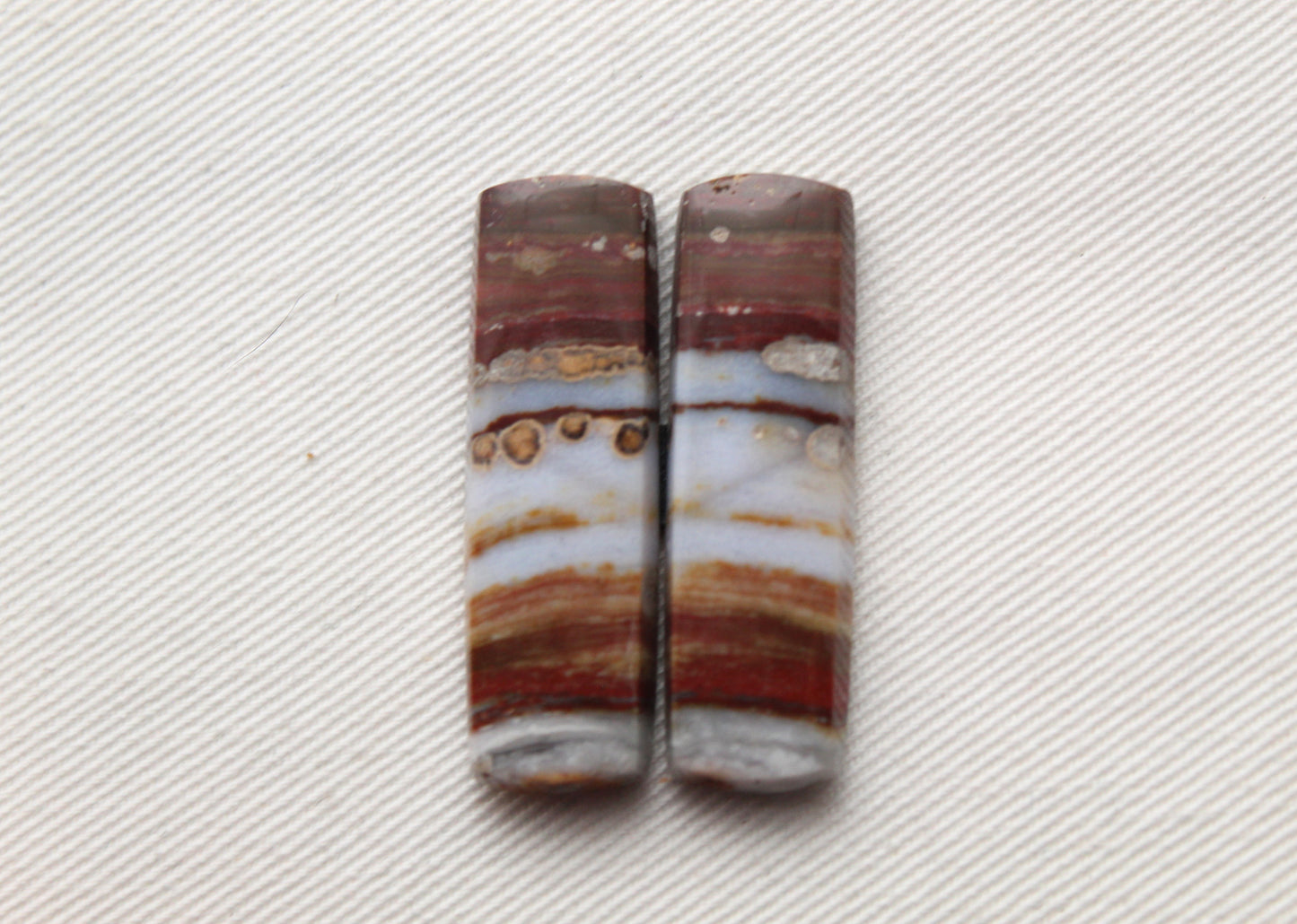 Rectangle pair of Petrified Wood Cabochons