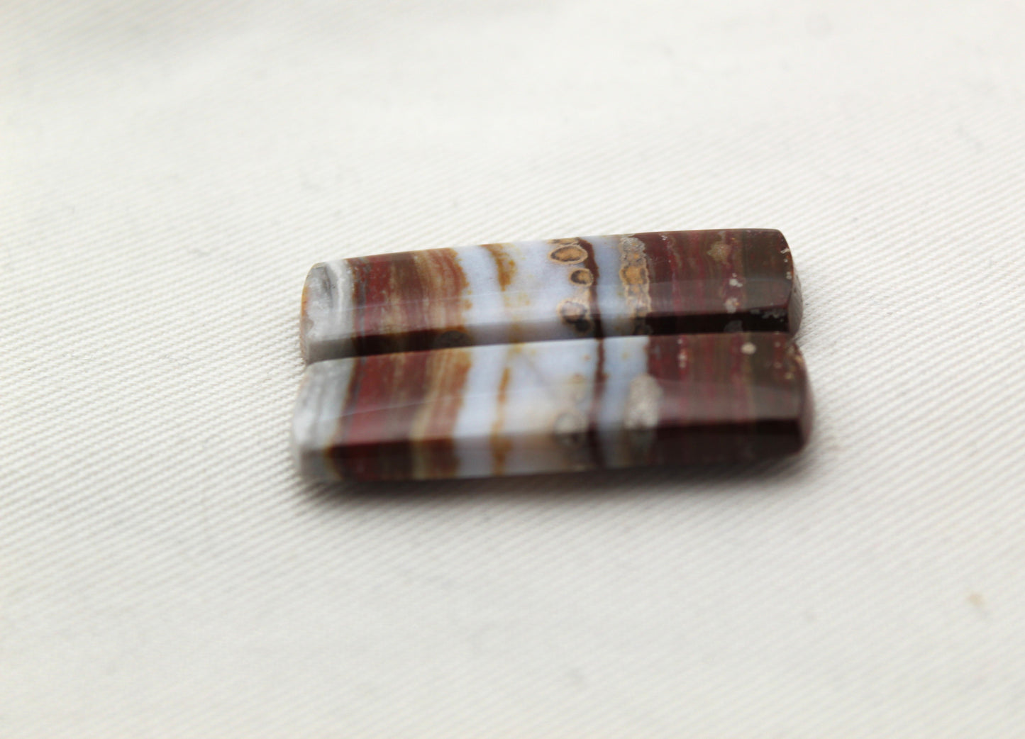 Rectangle pair of Petrified Wood Cabochons
