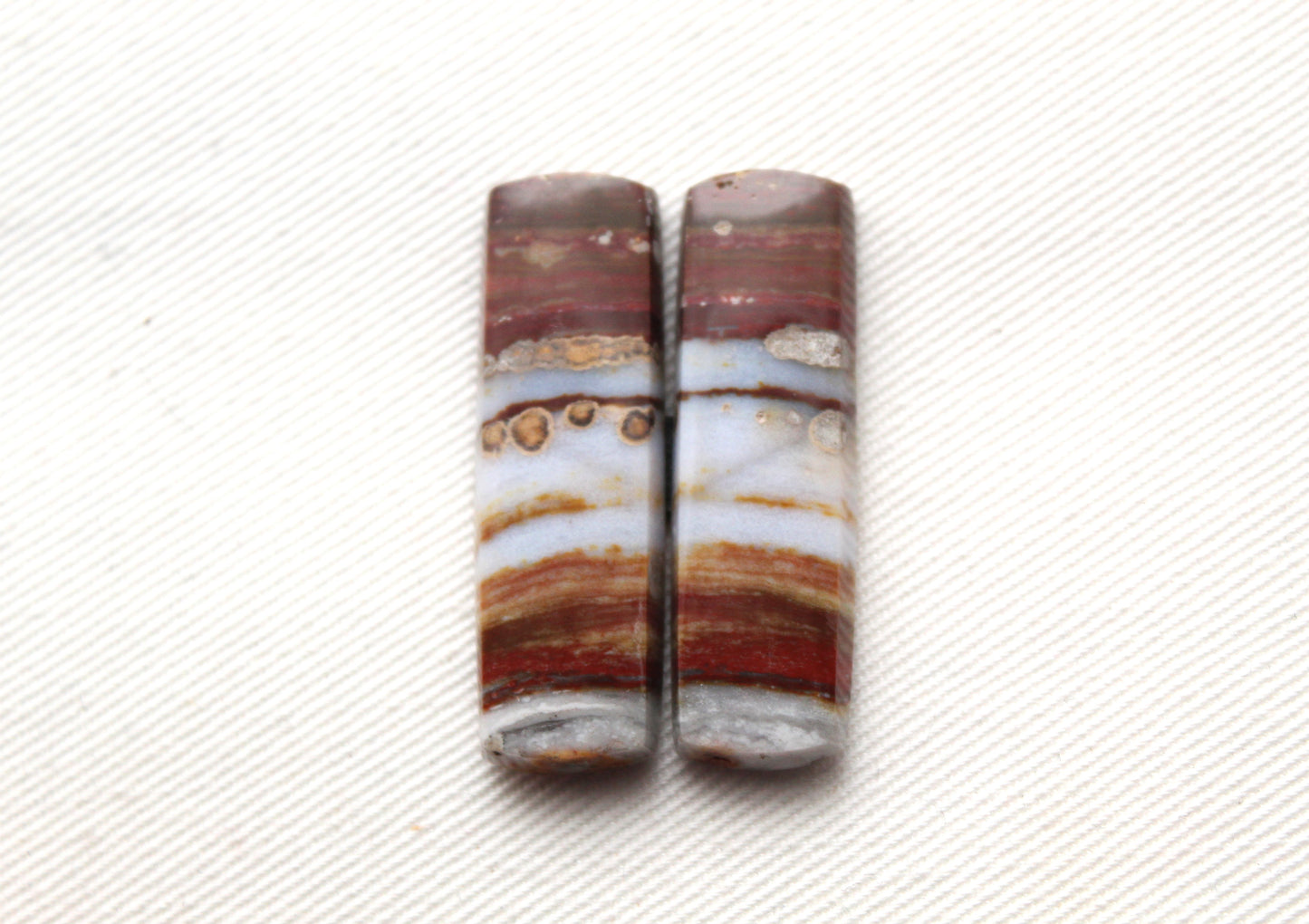 Rectangle pair of Petrified Wood Cabochons