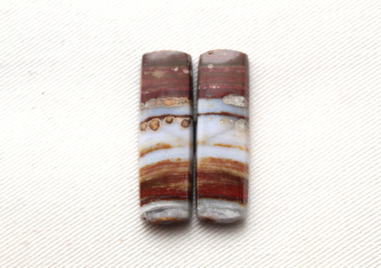 Rectangle pair of Petrified Wood Cabochons