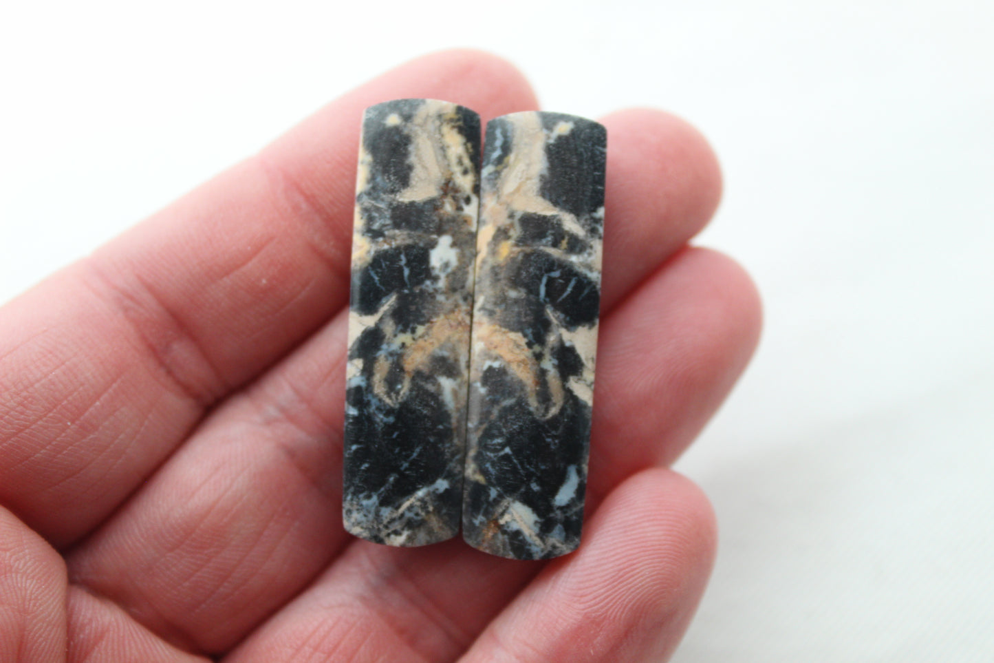 Pair of Petrified Wood rectangle