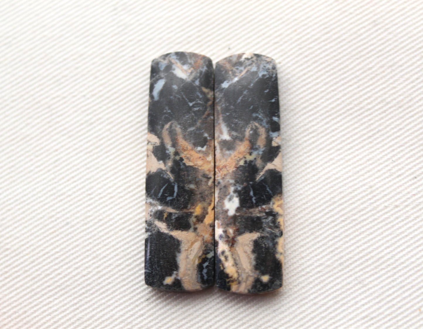 Pair of Petrified Wood rectangle